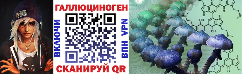 Купить  Цимлянск  Псилоцибиновые грибы Psilocybine cubensis 